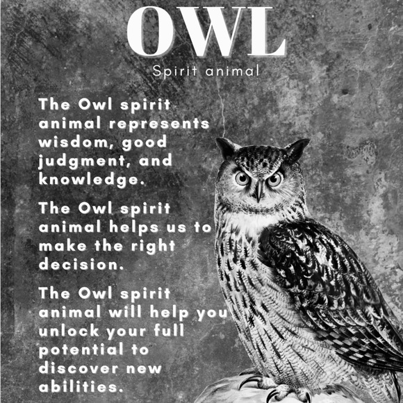 Mystical Owl Necklace Silver pl . - Picture 3 of 3